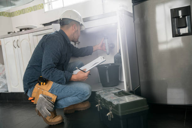 Best Clogged Drain Plumber  in Rossville, IN