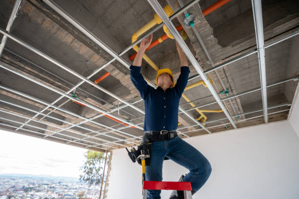 Best Emergency Plumbing Repair  in Rossville, IN
