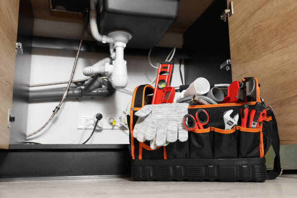 Best Plumbing Services Near Me  in Rossville, IN