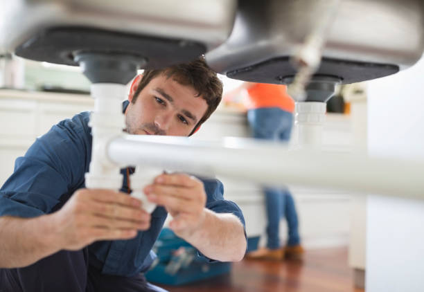 Best Toilet Repair Services  in Rossville, IN