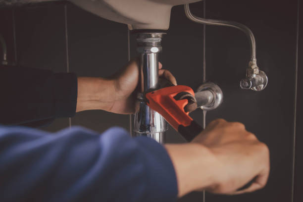 Best Drain Cleaning Services  in Rossville, IN